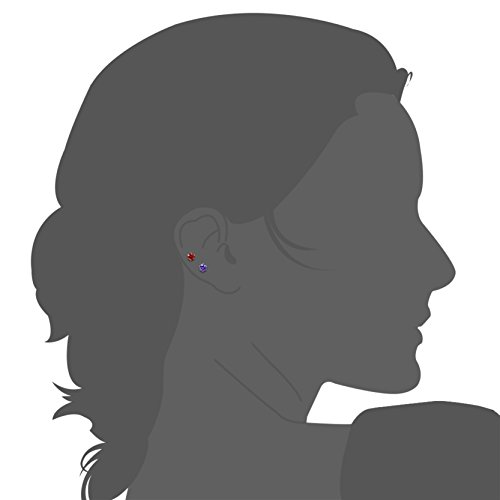 Loyallook 12 Pairs Stainless Steel Brilliant Cut Round Cubic Zirconia Birthstone Stud Earrings For Women (C:3Mm 12 Pairs) #TOP5