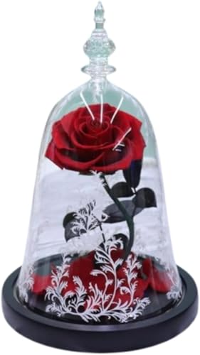 BianstarƖb a LO j v|[Y vU[uht[ 閂@̃o  MtgMtgZbgグ܂ (A) [sAi]