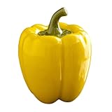ALCXAZS Comodo coperchio in ceramica, barattolo ermetico, pratici contenitori per conservare le foglie di tè fresche e accessibili, contenitori per il tè, multifunzione, Giallo, 8x10.5 cm