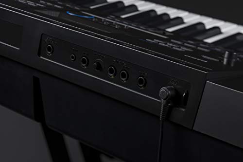Casio WK-6600 76-Key Workstation Keyboard with Power Supply - Les Beatles, Paul McCartney, John Lennon, RIngo Starr, George Harrison Casio WK-6600 76-Key Workstation Keyboard with Power Supply – Image 3