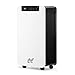 Price comparison product image NETTA Dehumidifier 12L/Day - Digital Control Panel, Air Filter, Continuous Drainage, Auto Restart, Timer, 1.5L Water Tank - For Home & Office, Damp, Mould Control, Laundry Drying