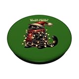 Zoom IMG-1 gatto natalizio con luci natalizie Zoom IMG-1 gatto natalizio con luci natalizie