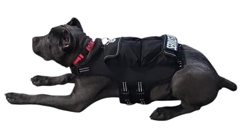 Weighted+Floatation+Pulling Dog Vest Value Package: Vest, Matching Weight Collar, Leash and Pulling Attachment - Improves Dogs Over All Health (Black, Small - 8lbs. Sand, 16lbs. Metal Pellets)