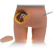 Buttock Injection Model,Human Buttocks Intramuscular Injection Models,3 Injections Training Methods Simulator with Removable Skin for Clinical Skills Practice and Nurse Teaching