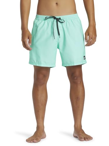 Quiksilver Everyday Solid Volley 15" - Short de Natación - Hombre - L - Verde.