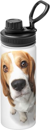 킢 r[O Aj  ^fM ۉ ۗ X|[c{g lC XeX{g X|[cΉ RȂ 530ml j̎q ̎q  l q ObY LN^[ a v[g FBN7K153