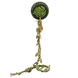 Reptile Hide with 2pcs Strong Magnet, Leather Jumping Spider Hideout with Magnet - Mesh Natural Habitat Decor for Spider Enclosures, Reptiles & Amphibians - Secure Hiding Cave Accessories