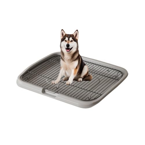 Lamanttg[jO}bg ybggC  ݂h~ 񂿗pgC ybggC ^ (O[i60ғnCtFXjhH,AbvO[hŁiʊ{Vx{Sԁj)