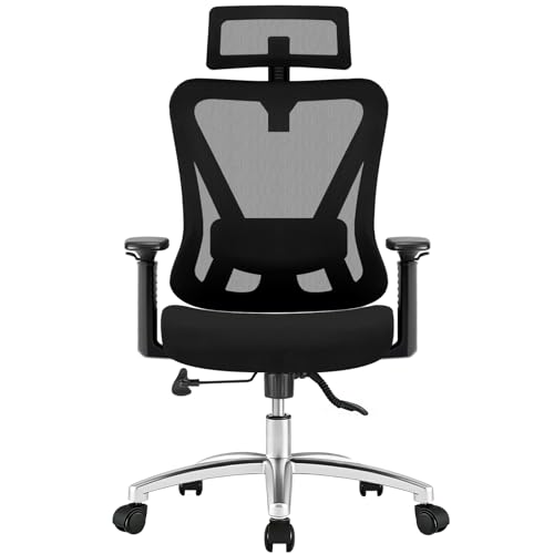 Silla de Oficina Ergonómica Durrafy con Soporte Lumbar 4D