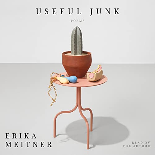 Useful Junk by Erika Meitner episode artwork