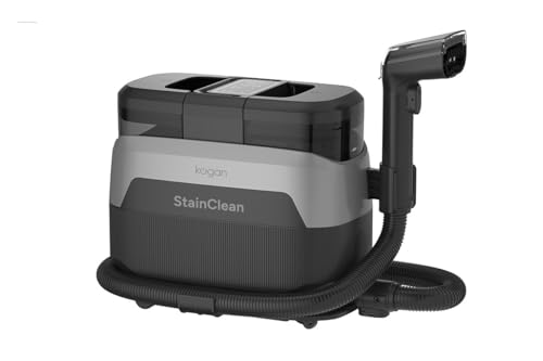 best power through grime steam cleaner