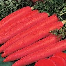 UGrow Red Carrot Seeds for Home Garden | Farming | Vegetable | Kitchen | Hybrid | Planting | Terrace | Balcony | Eating | Gajar | 50 above Seeds (B0BRQ1R29T) Amazon Price History, Amazon Price Tracker
