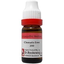 Reckewegs Clematis Erec 200 11 ml Dilution