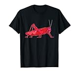 Divertidas ideas de regalo para el día de San Valentín para saltamontes divertidos corazones amantes de los animales a juego para parejas celebraciones para él o ella, visita el zoológico en Navidad, día de San Valentín, cumpleaños, día de la madre, día del padre, vacaciones, aniversario.