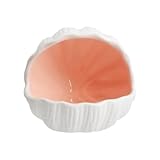AnRui Cute Aquarium Decorations Ceramic Conch...