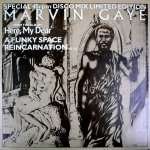  Marvin Gaye - A Funky Space Reincarnation (Disco Mix) - Motown
