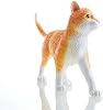 Kit de modelo de esqueleto y anatomía de gato naranja atigrado 4D - Coleccionable de calidad con órganos y partes del cuerpo totalmente desmontables, 28 piezas para demostración en enseñanza animal 6