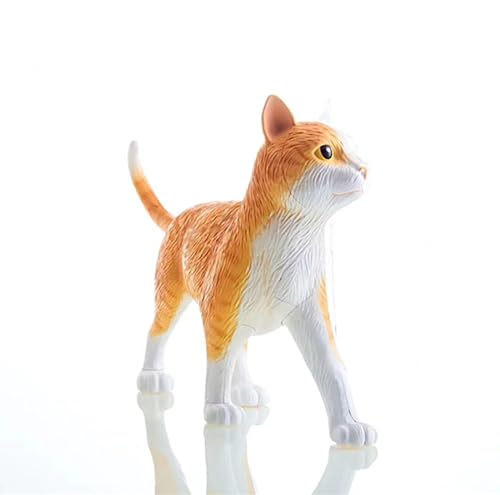 Modèle d'anatomie chat AMITD 4D pour comprendre les organes félins - 4