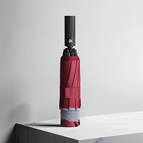 RENEESME Umbrellas for Rain Ten-Bone Automatic Umbrella Car-Mounted Reverse Umbrella Folding Men's and Women's Business Umbrella Strong Umbrella for Wind and Rain(C)