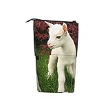 Zoom IMG-2 fifbird astuccio telescopico portamatite portatile