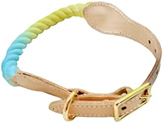 Yellow and Blue Dog Collar, Rope Collar for Dogs, Puppy Dog Collar, Pretty Dog Collar, Cute Dog Collar, Tie Dye Rope Dog Collar (Large, Yellow Blue)