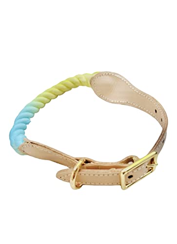 Yellow And Blue Dog Collar, Rope Collar For Dogs, Puppy Dog Collar, Pretty Dog Collar, Cute Dog Collar, Tie Dye Rope Dog Collar (Large, Yellow Blue) #TOP3