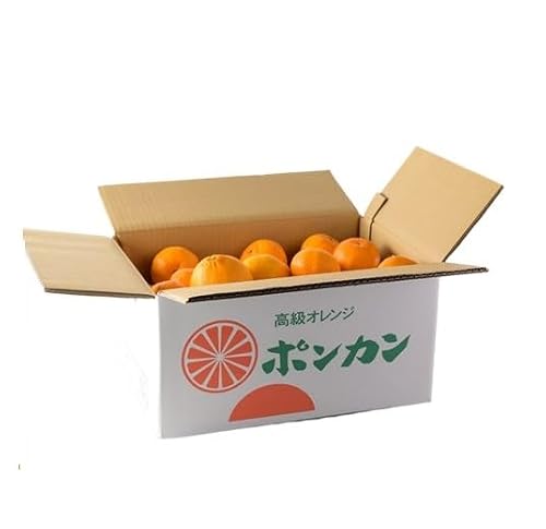 米倉農園 ポンカン 5kg ≪先行予約≫2027年1月頃から順次発送予定