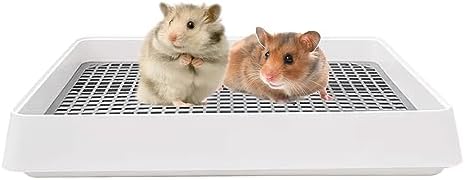 Kaninchen Katzentoilette Mit Maschendesign - Kleintiertoilette Für Nager 27x18cm