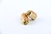 Zaitoune Cashew & Pistachio Baklava Selection Box - 2.2 lb | Traditional Luxury Honey Pastry | Arabic Dessert with Authentic flavors in Beautiful Packaging | Handmade in Turkey