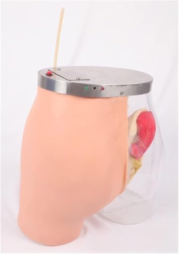 Modelo de práctica de inyección intramuscular glútea semi-transparente para entrenamiento miniatura 6
