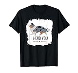 Shelties, Shetland Sheepdogs, Sheltie Mom