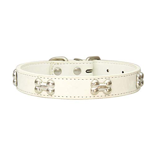 Mdurian Collier de Chien clouté en os de Cuir véritable, Colliers de Taille réglable Confortables pour Petit Chien Moyen (XS, Blanc) Cover