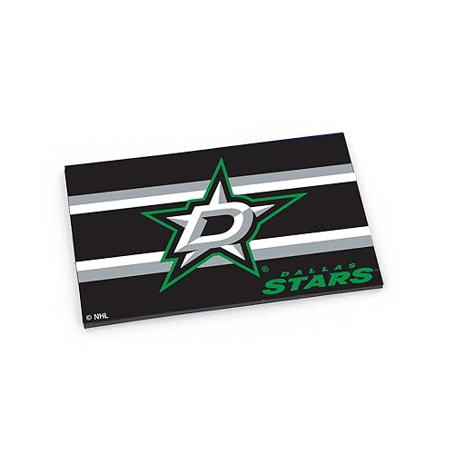 Imán decorativo rectangular Dallas Stars Aminco