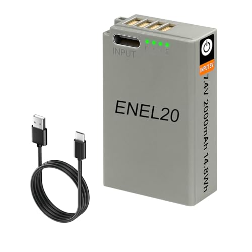 Palogreen EN-EL20 EN-EL20a Batería con LED y Cable de Carga USB-C para Nikon Coolpix P1100, P1000, P950, Coolpix A, 1 J1, 1 J2, 1 J3, 1 S1, 1 V3, DL24-500, 1 AW1