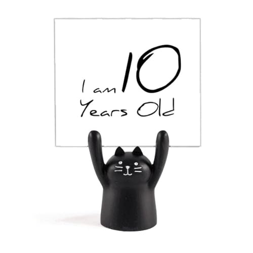 10΂̔NႢ J[gD[LX^h^z_[