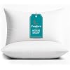 (Pack of 2)