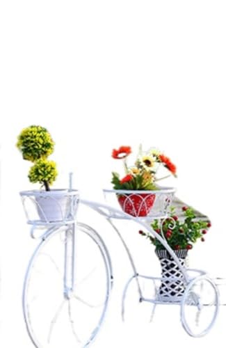 Hrzisda �t�����[�X�^���h �K�[�f���X�^���h ������� �A���X�^���h ���|���b�N ���X�^���h �ԑ� �������̃v�����^�[���b�N�A���]�Ԍ`..�A���t�����[�f�B�X�v���C�X�^���h|�A���V�F���t�������O�K�[�f��|�e�B�A�[�h�A���X�^���h�z���_�[�f�B�X�v���C�X�^��