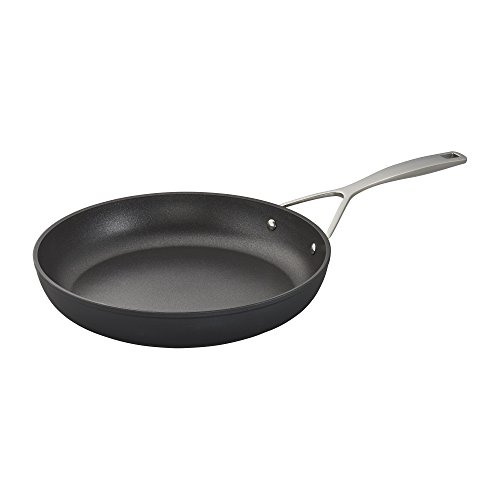 Demeyere AluPro 12-inch Aluminum Nonstick Fry Pan by Demeyere - Used condition - US$161.37