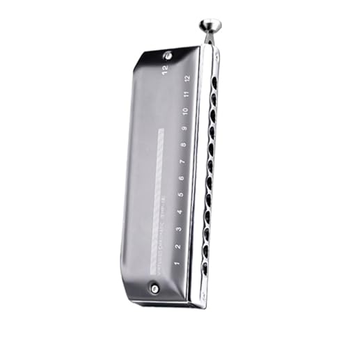 1248g[CN}`bNn[jJv̑l̉tK(D)