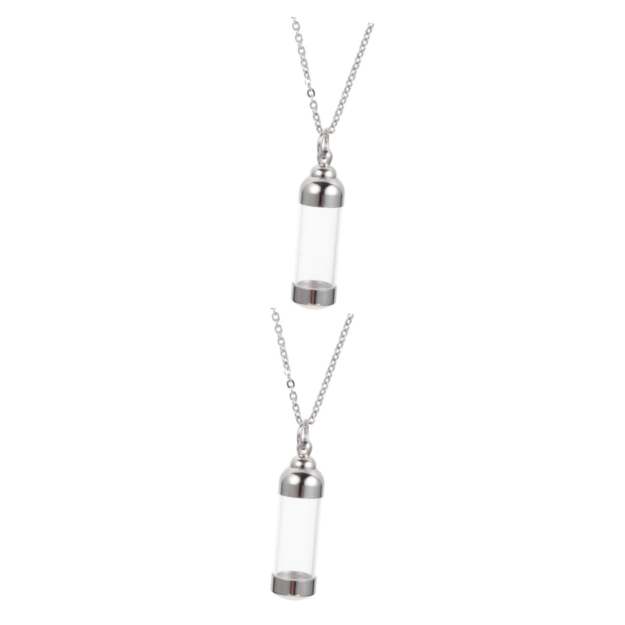 Toddmomy 2pcs Pet Ashes Necklace Hair Jewlery Pet Memorial Stainless Steel Necklace for Men Pet Urns for Dogs Ashes A Necklace Ash Holder Necklace Hair Jewels Mens Glass Commemorate Pendant