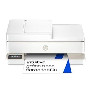 HP Envy 6520e, 714N9B, Imprimante Multifonction Jet d'encre A4, Couleur, Recto Verso Automatique, Jusqu'à 10 ppm, Wi-FI, Chargeur Automatique, Fax, 3 Mois de Forfait Instant Ink Gratuit, Portobello