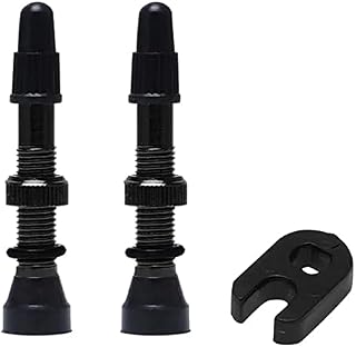 Par Válvula Tubeless Bike Bico Fino Presta Removível 48mm