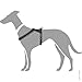 HUNTER Hundegeschirr LONDON COMFORT, atmungsaktives 3D-Mesh, 2-fach verstellbar, Sicherheitsverschluss, reißfest, leicht & pflegeleicht, Farbe: Schwarz, Größe: XS-S