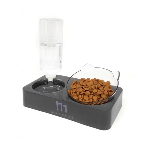 Gravity Water Bowl The 15 best products compared Wild Explained