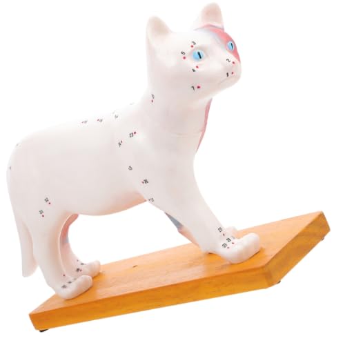 Modèle d'acupuncture de chat SOIMISS PVC acupuncture féline vétérinaire