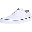 Canvas White