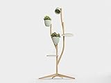  Branch-Out Deluxe Set - porte pie-d etagere manteau bac interieur mural-e cube rayonnage fleur-s entrée chambre crochet pot-erie petit-s personnalisable sur meuble-s rangement plante maison decoration