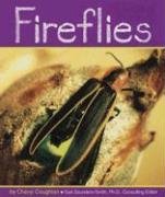 Fireflies (Insects) Paperback – January 1, 2006