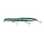 Slim Sardine