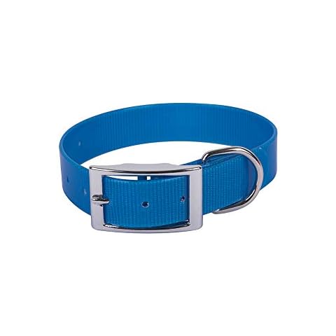 Collar Biothane Gold, Azul, 2,5cmx60cm Cover